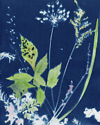 Symphony of Blossoms Photograph by Elizabeth Reich