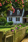 Taliaferro-Cole Garden on a Summer Late Afternoon Photograph by Rachel Morrison