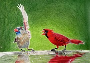 Talk to the Wing Drawing by Marlene Little