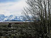 Teton Scene Photograph by Rachel Morrison