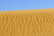 Textured golden sand Photograph by Severija Kirilovaite