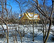 Thai Pavillon Winter - Madison - Wisconsin Photograph by Steven Ralser