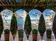 The Bioengineered Beach Garden Digital Art by Eris and AI