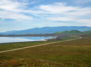 The Carrizo Plain National Monument Photograph by Joe Schofield