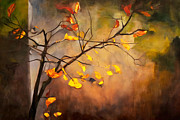 The Colours of Autumn Digital Art by Ursula Abresch