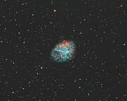 The Crab Photograph by Bruce Feagle