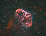 The Crescent Photograph by Bruce Feagle