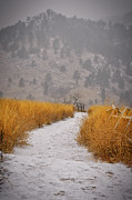 The Flatirons at Chautauqua Park Boulder Colorado Photograph by Abigail Diane Photography