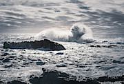 The Hand of the Ocean Photograph by Shannon Williams