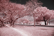 The Highway and The Byway Photograph by Gian Smith