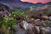 The Lone Star Photograph by KC Hulsman