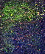 The Minds Symphony - Hypervigilance Splatter Painting Painting by Annalisa Rivera-Franz