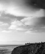 The Monochrome Return of the 22 Photograph by Joe Schofield