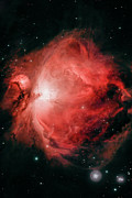 The Orion Nebula, M 42 - 11/05/2023 Photograph by Rich Kovach