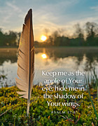 The Shadow of Your Wings Photograph by Greg Lane