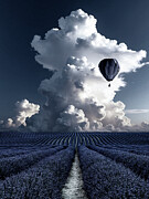 The Silent Ascent Photograph by Sofie Conte