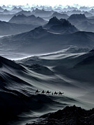 The Silent Crossing Photograph by Sofie Conte