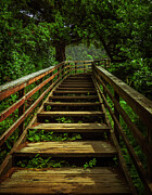 The Staircase Photograph by Kevin Schwalbe
