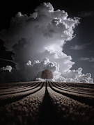 The Still Point Photograph by Sofie Conte