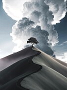 The Summit of Quiet Photograph by Sofie Conte