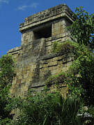 The Temple Photograph by David McKinney