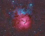 The Trifid Photograph by Bruce Feagle
