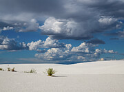 The White Sands of New Mexico Photograph by Joe Schofield