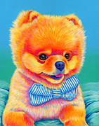 Theo the Pomeranian Painting by Rebecca Wang