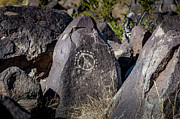 Three Rivers Petroglyphs #11 Photograph by Blake Webster