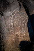Three Rivers Petroglyphs #24 Photograph by Blake Webster