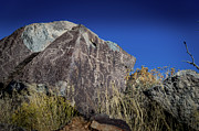 Three Rivers Petroglyphs #28 Photograph by Blake Webster