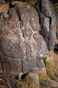 Three Rivers Petroglyphs #4 Photograph by Blake Webster