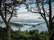 Through the Trees - Into the Mist Photograph by Deb Beausoleil