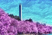 Tidal Basin with a lichen texture Photograph by Bruce Block