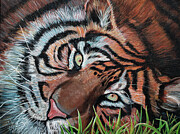 Tiger Eyes Painting by Mark Ray