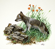 Timber Wolf Painting by Don Balke