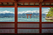 Torii Gate Photograph by Steven Dos Remedios