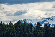 Tourists in zip line harnesses zoom down the mountain at Icy Str Photograph by Steven Heap
