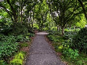 Tranquil Garden Retreat Photograph by Deb Beausoleil
