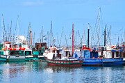 Tranquil Waters Cape Town's Colorful Fleet Photograph by Travel Essayist