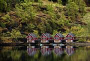 Tranquility in Flam, Norway Photograph by Marcy Wielfaert