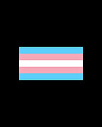 Transgender Pride Flag Digital Art by Flippin Sweet Gear