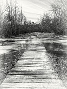 Treacherous Path Photograph by Steven Nelson