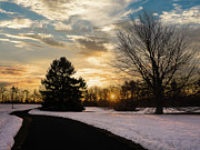 Trexler Park - Upper Paths Winter Sunrise Traditional Photograph by Jason Fink