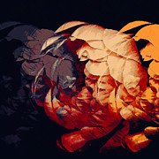 Trois Digital Art by Canessa Thomas