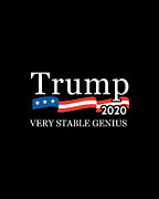 Trump 2020 Very Stable Genius Digital Art by Flippin Sweet Gear