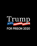 Trump for Prison 2020 Digital Art by Flippin Sweet Gear