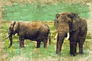 Two elephants on pasture - impasto oil painting with brown and green hues Digital Art by Nicko Prints