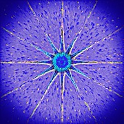 Ube Digital Art by David Manlove