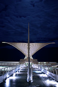 Under a Full Moon - Vertical Photograph by Deb Beausoleil